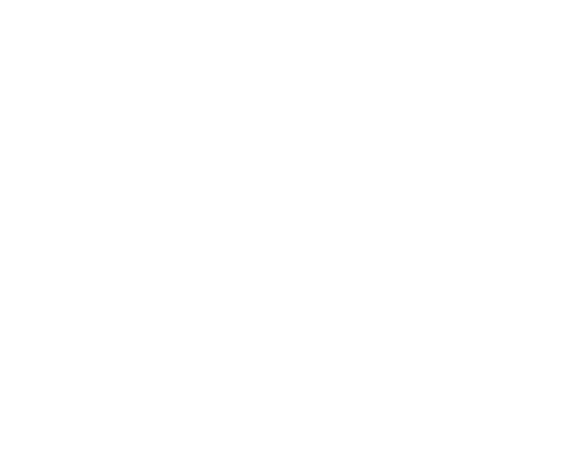 Elite Home Solutions